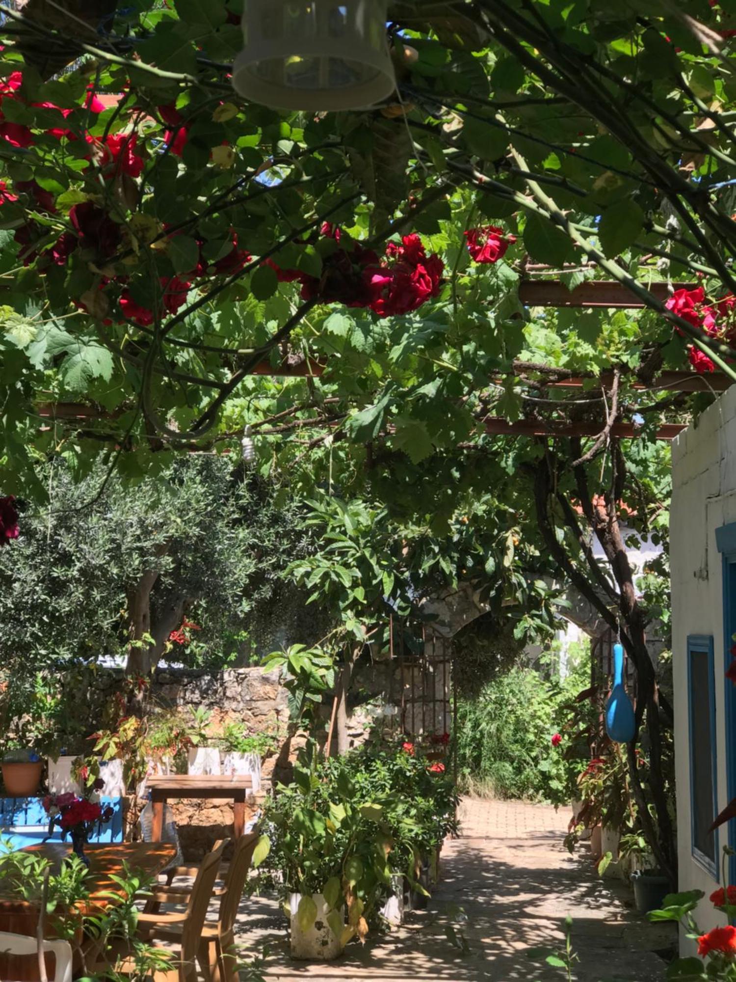 Likya Pansiyon Kaleucagız Εξωτερικό φωτογραφία