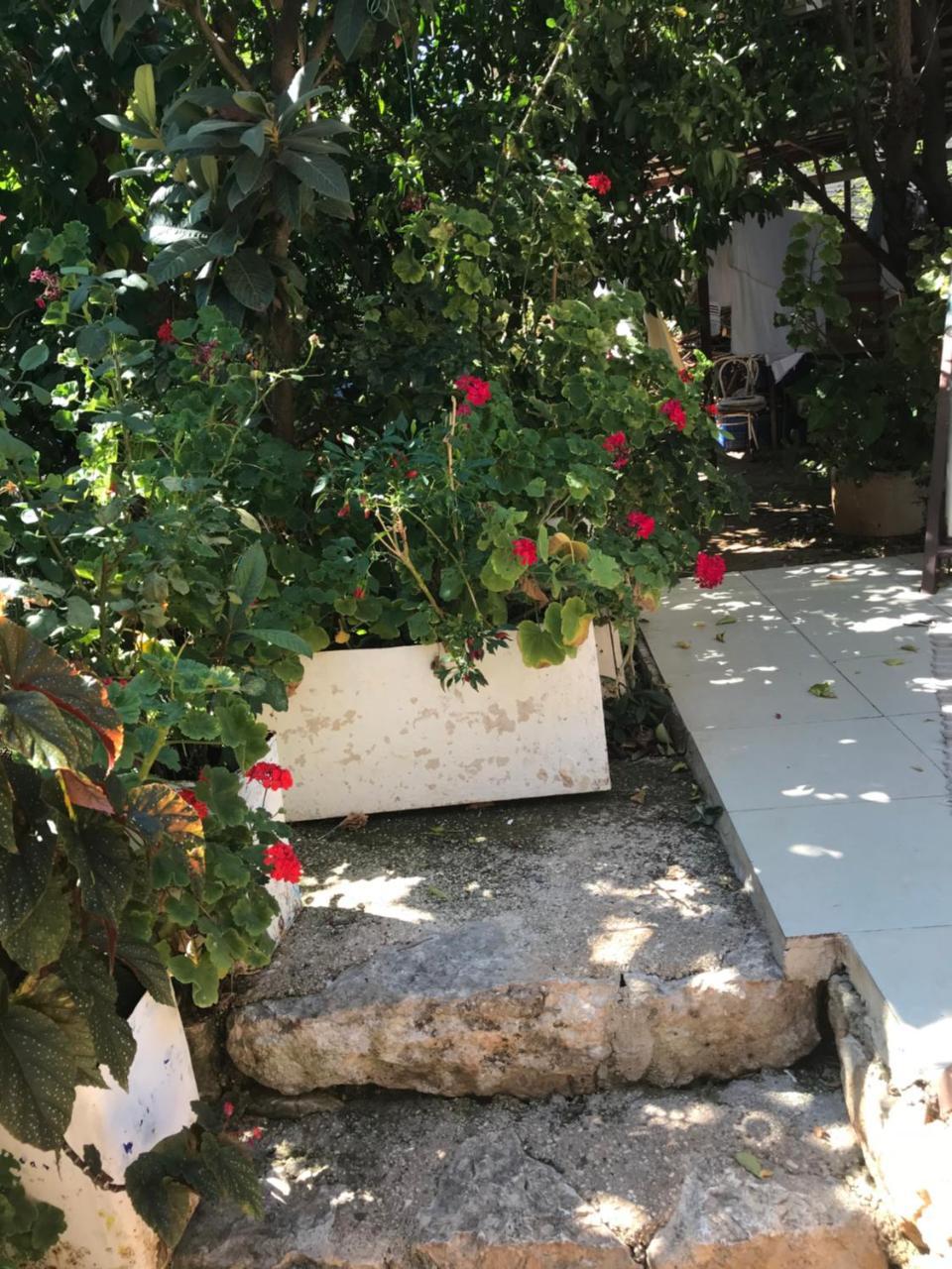 Likya Pansiyon Kaleucagız Εξωτερικό φωτογραφία